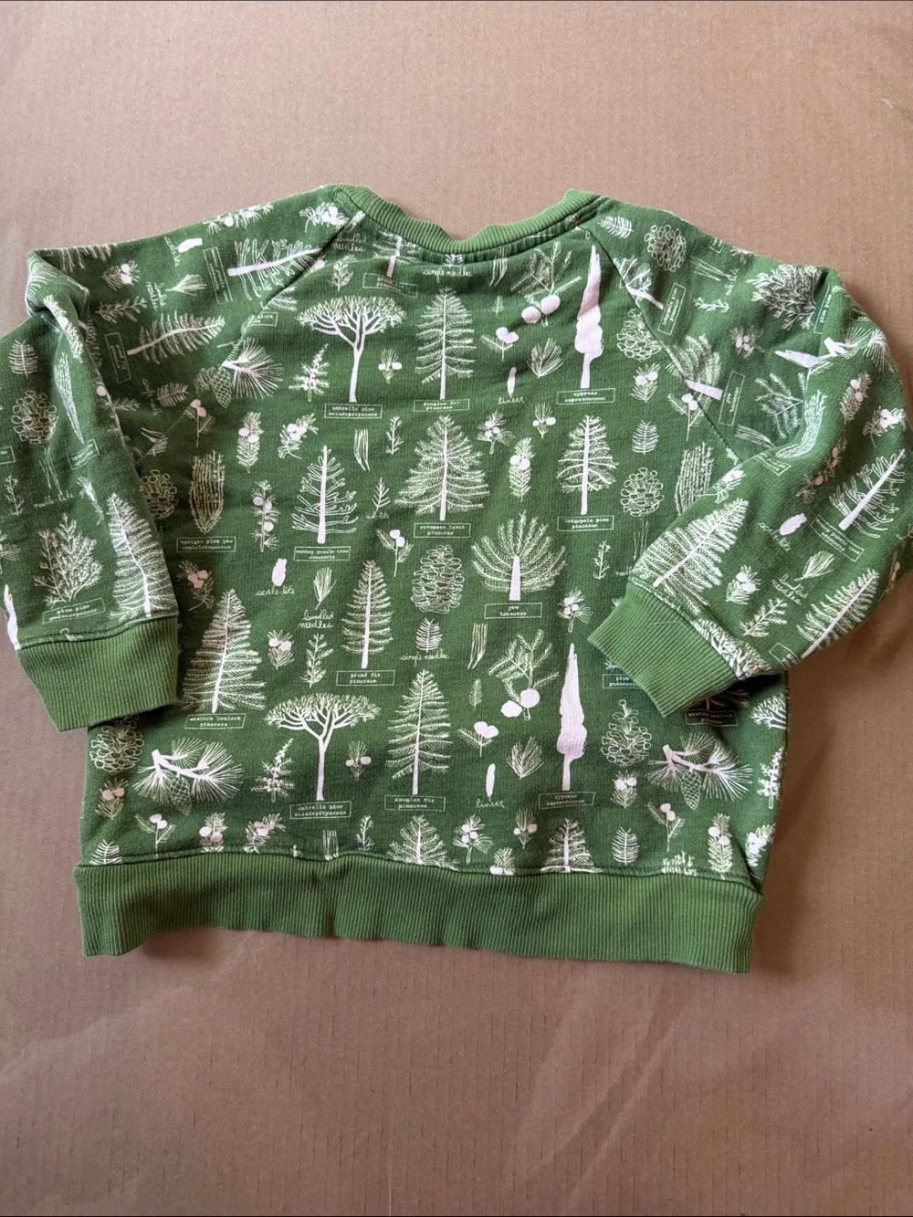 Piccolina green arborist sweatshirt and matching pants